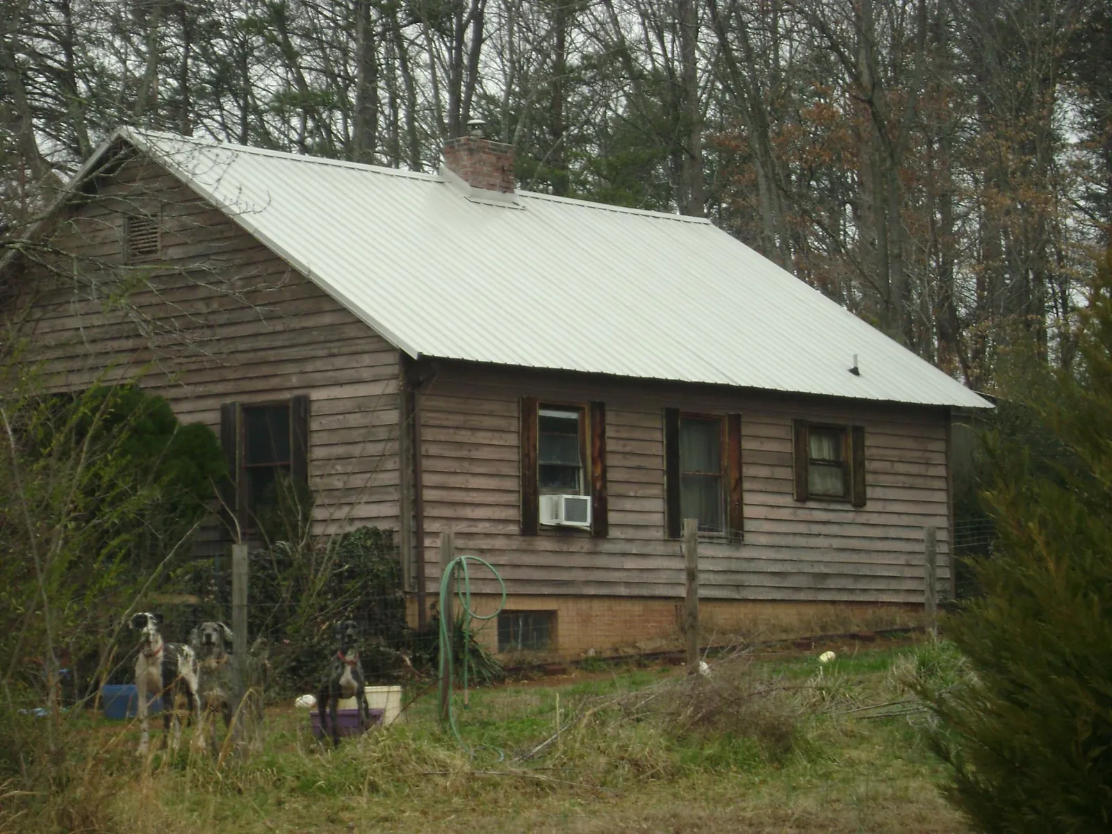 White metal roof on an old wood sided farmhouse, from a Asphalt Shingle Roof Repair job in Peninsula